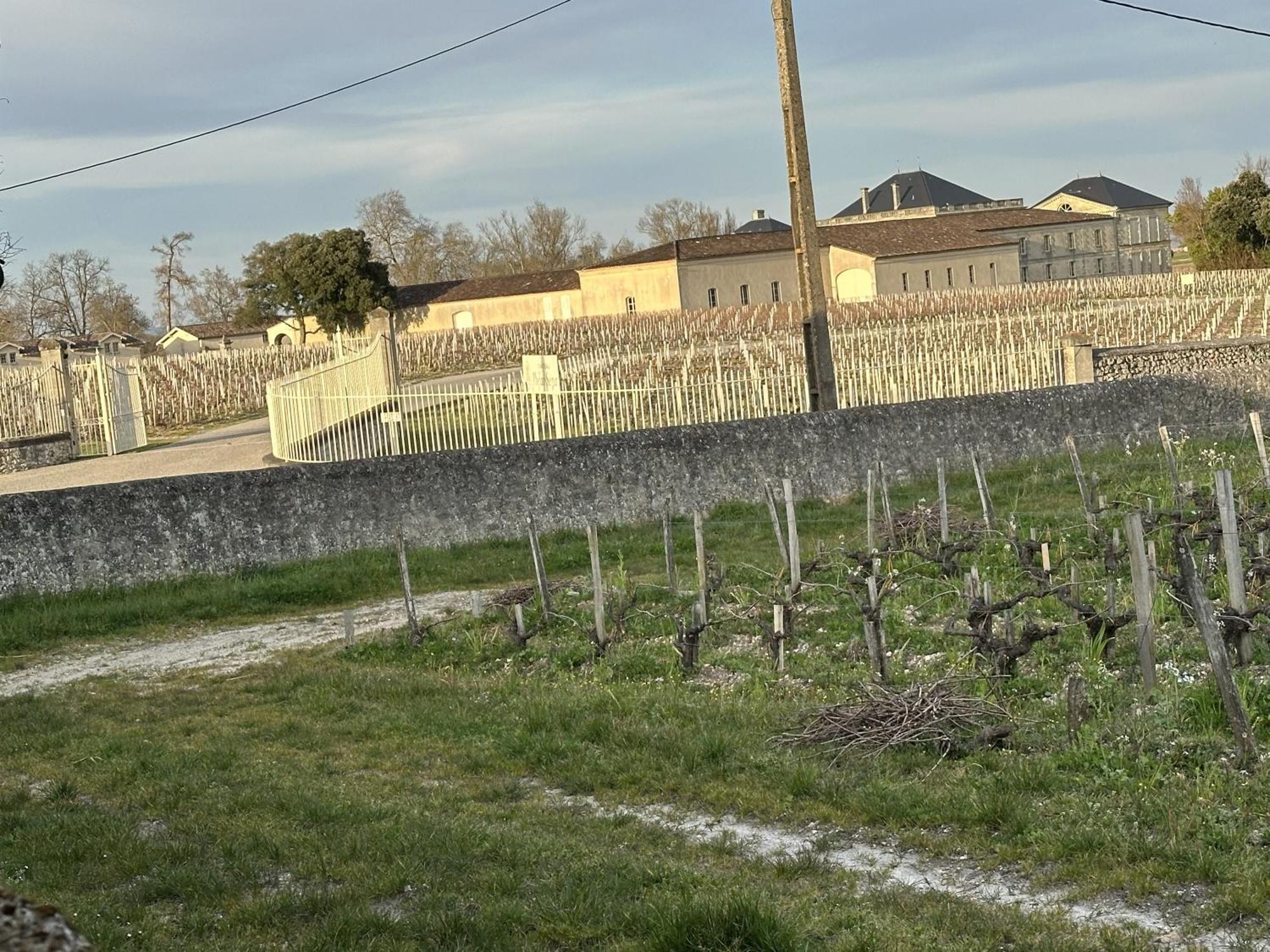 Maison Jeroboam Saint-Estèphe Esterno foto